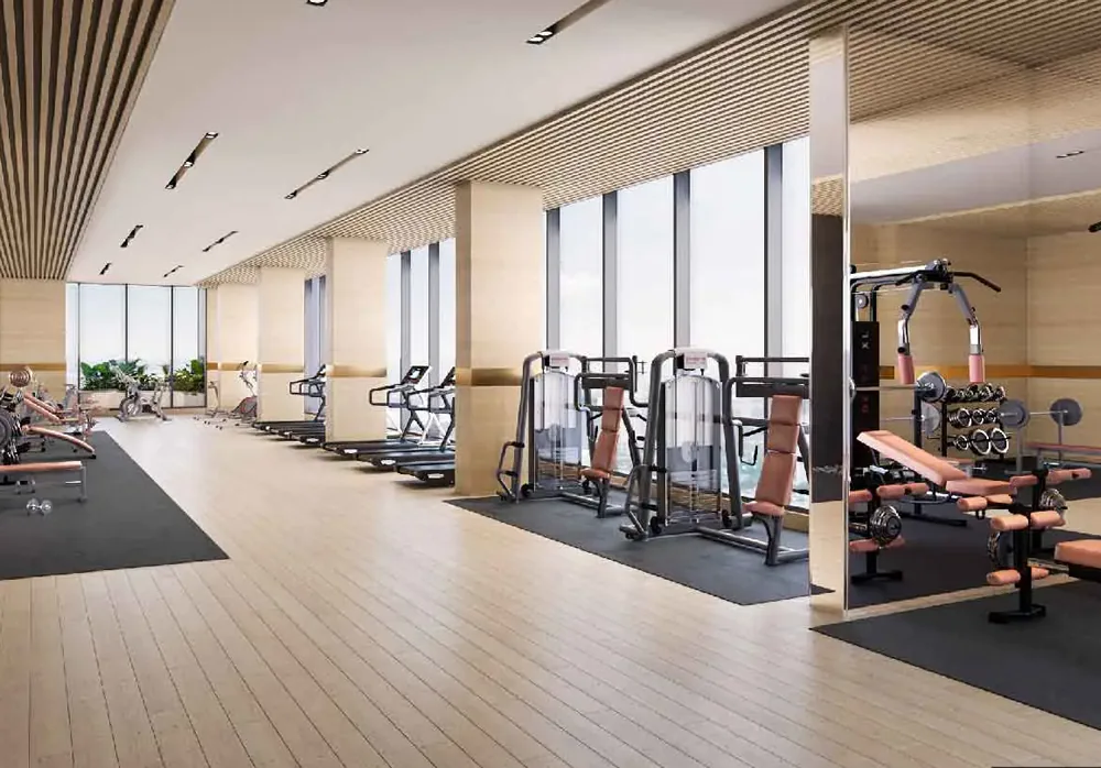 Gymnasium